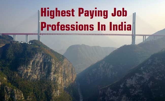 Top Highest Paying Job Professions In India Dhanviservices Dhanvi Services